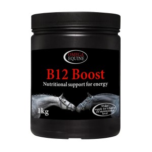 Falcon Omega B12 Boost